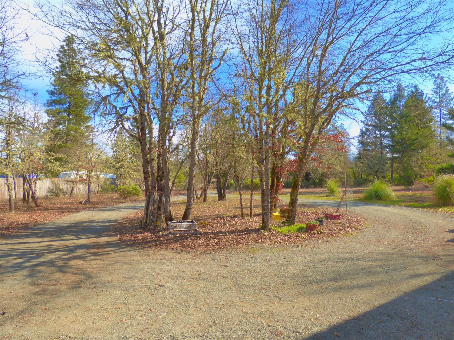 5524 Rockydale Road Cave Junction, OR 97523 - Photo 4 of 23 Additional Photo