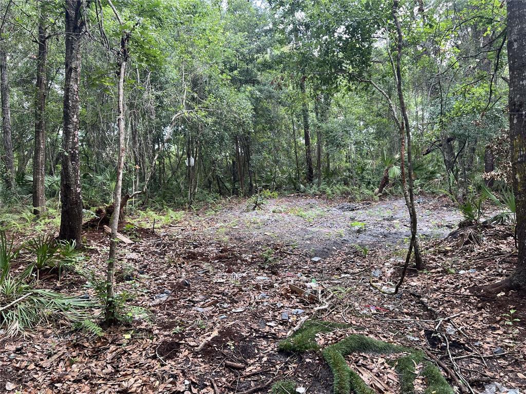 2322 Rouse Road Orlando, FL 32817 - Photo 4 of 8