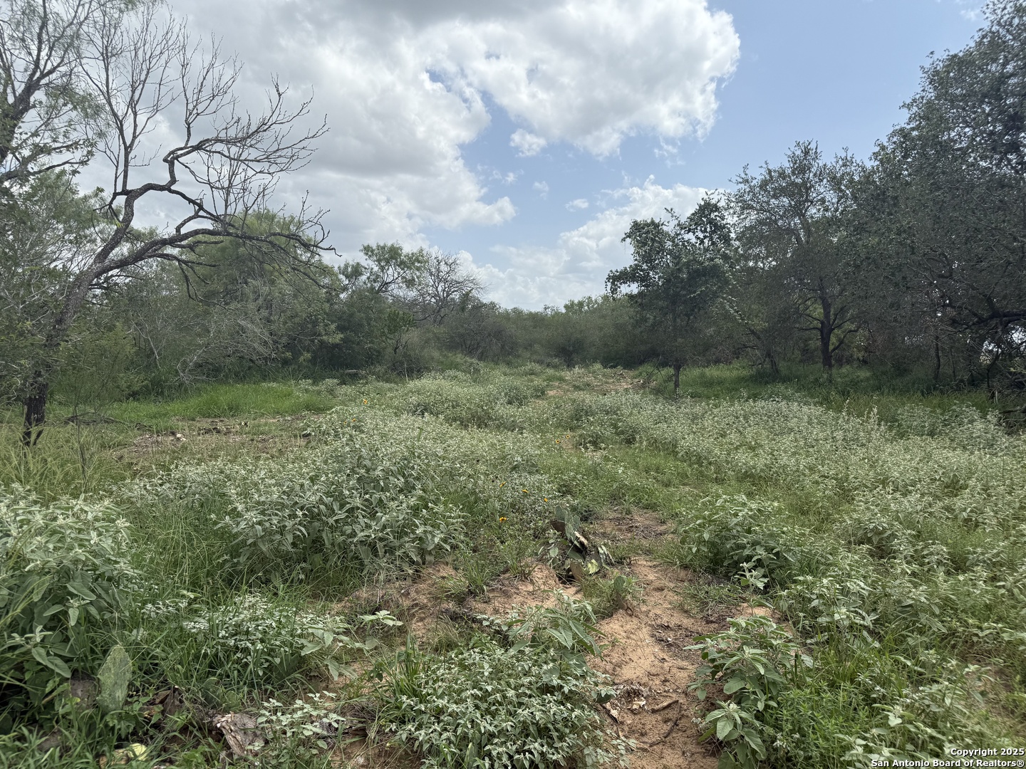 Tbd Fm 476 Poteet, TX 78065 - Photo 11 of 22 a view of outdoor space and yard