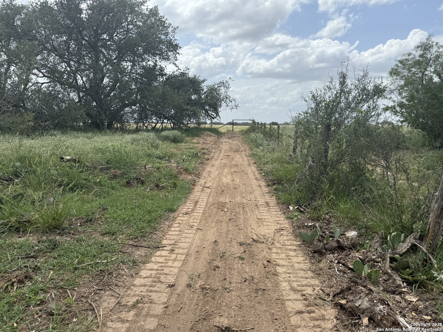 Tbd Fm 476 Poteet, TX 78065 - Photo 12 of 22 a view of a pathway both side of yard