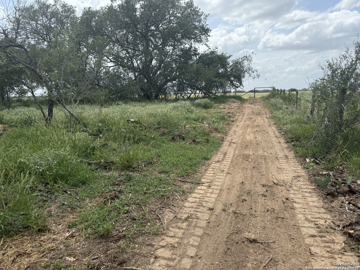 Tbd Fm 476 Poteet, TX 78065 - Photo 13 of 22 a view of a yard with a tree