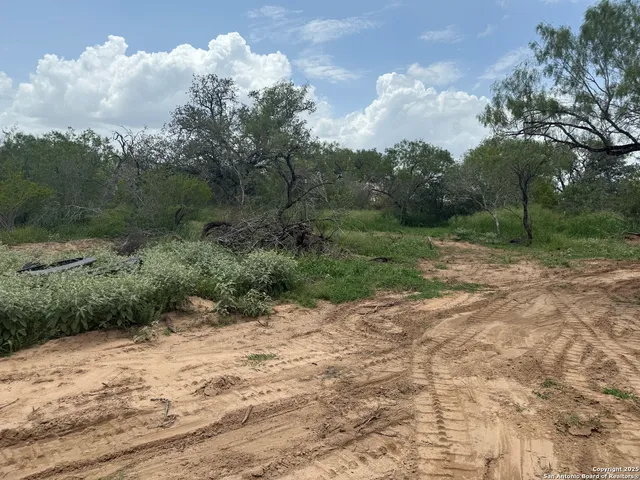 a view of a dry yard with trees