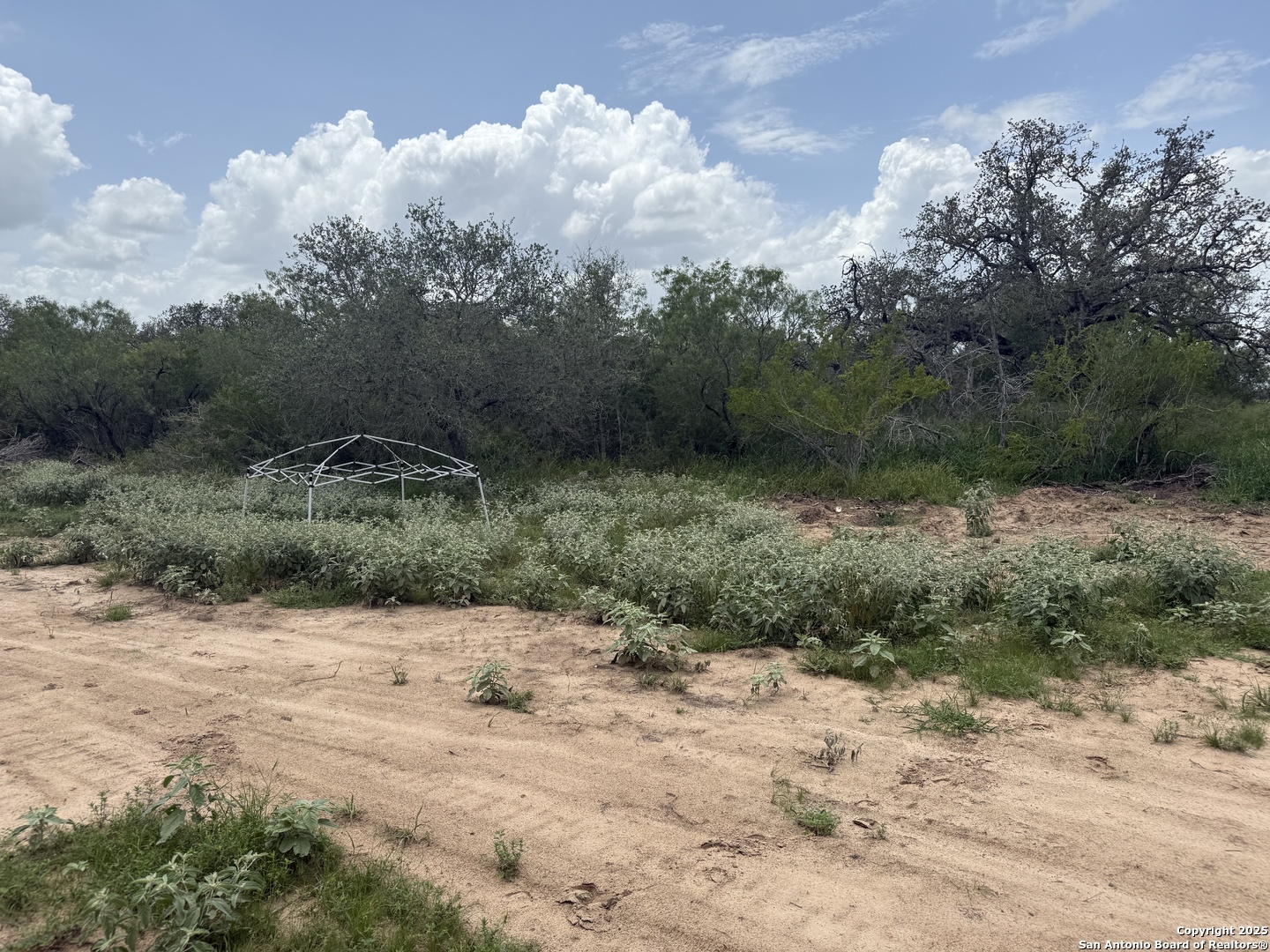 Tbd Fm 476 Poteet, TX 78065 - Photo 18 of 22 a view of a dry yard with trees