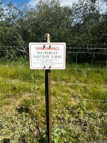 a view of a forest from a window