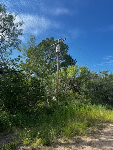 a view of a green yard