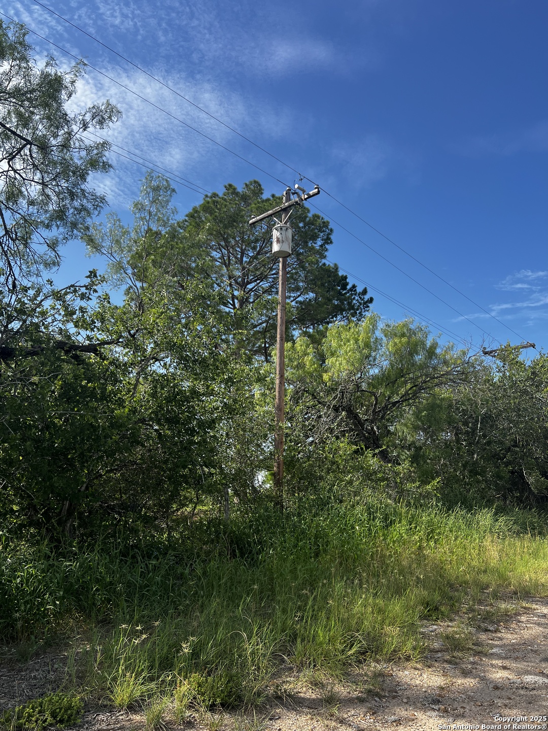 Tbd Fm 476 Poteet, TX 78065 - Photo 5 of 22 a view of a green yard
