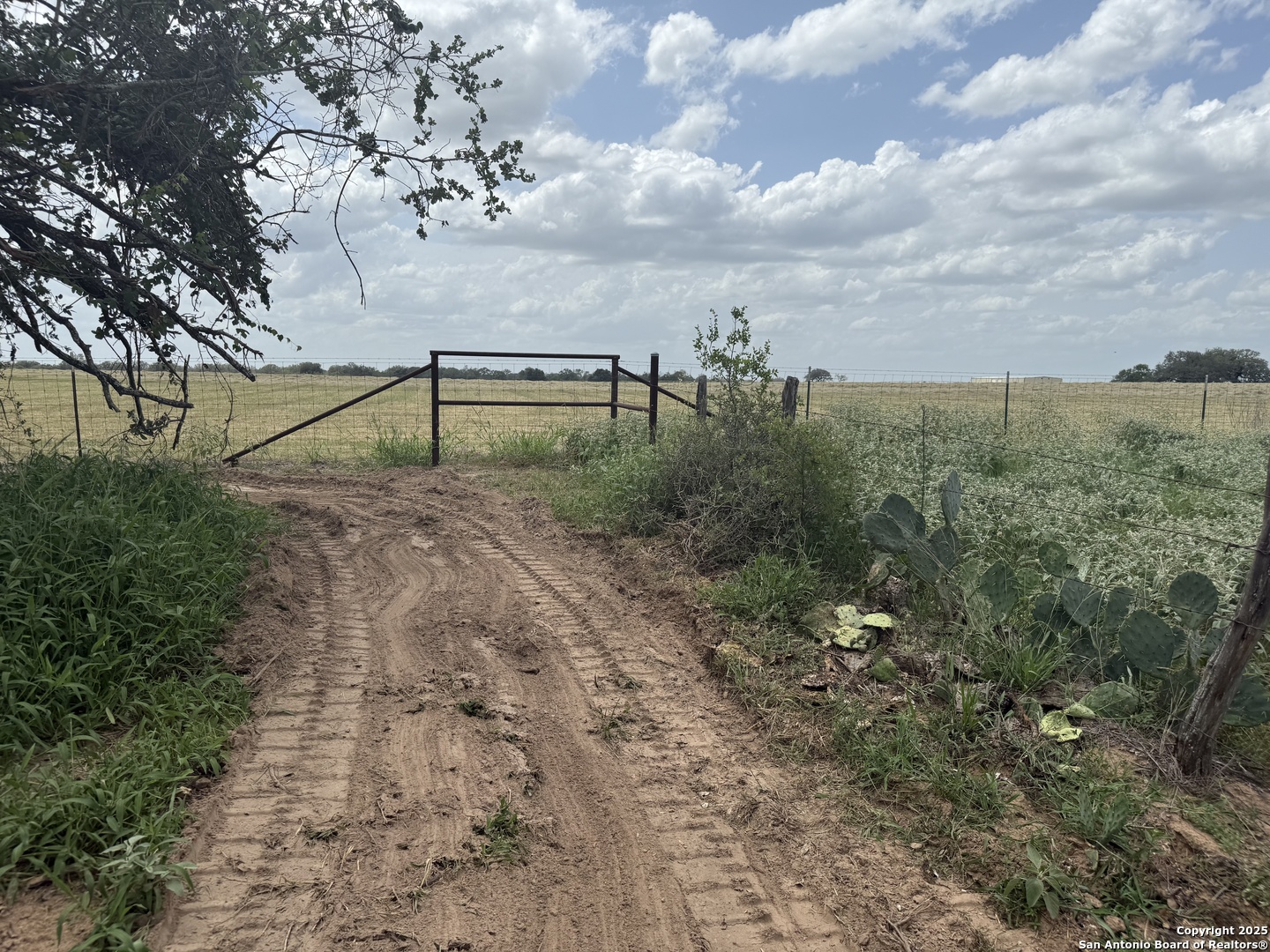 Tbd Fm 476 Poteet, TX 78065 - Photo 10 of 22 a view of a dry yard with trees