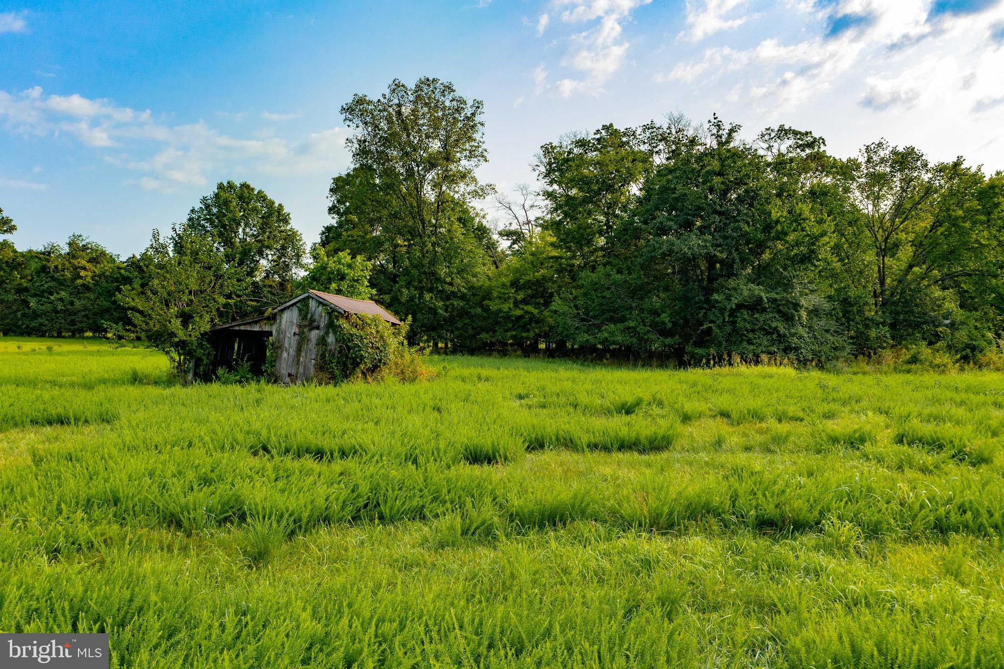 20625 Mt Pony Road Culpeper, VA 22701 - Photo 15 of 37