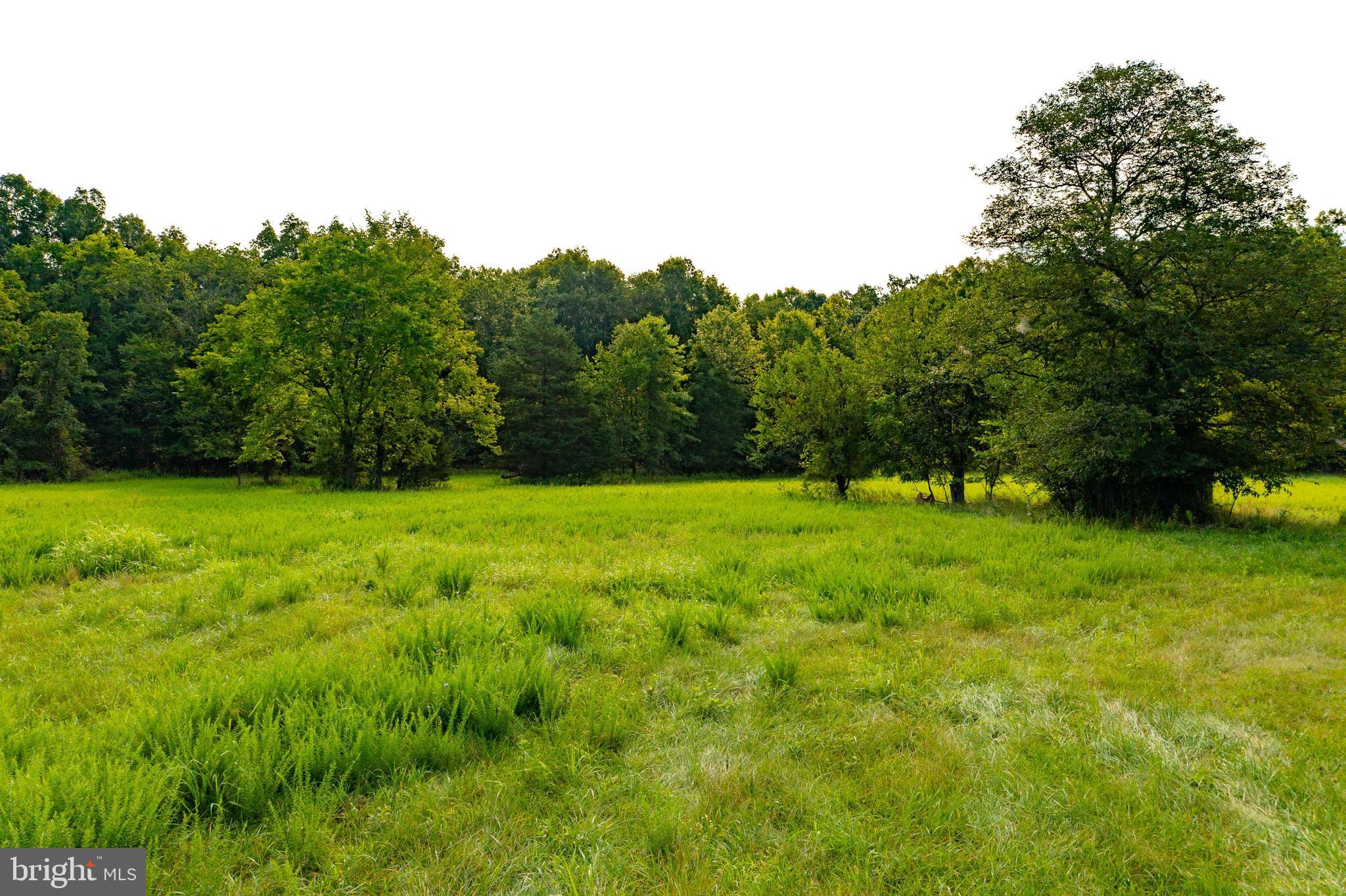 20625 Mt Pony Road Culpeper, VA 22701 - Photo 16 of 37