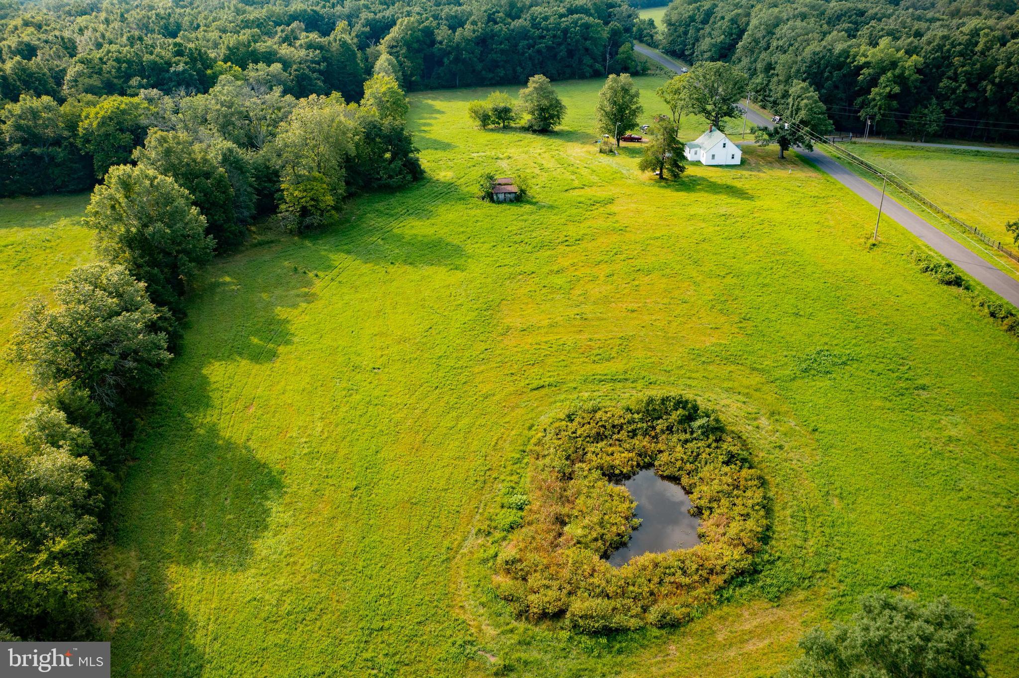 20625 Mt Pony Road Culpeper, VA 22701 - Photo 4 of 37