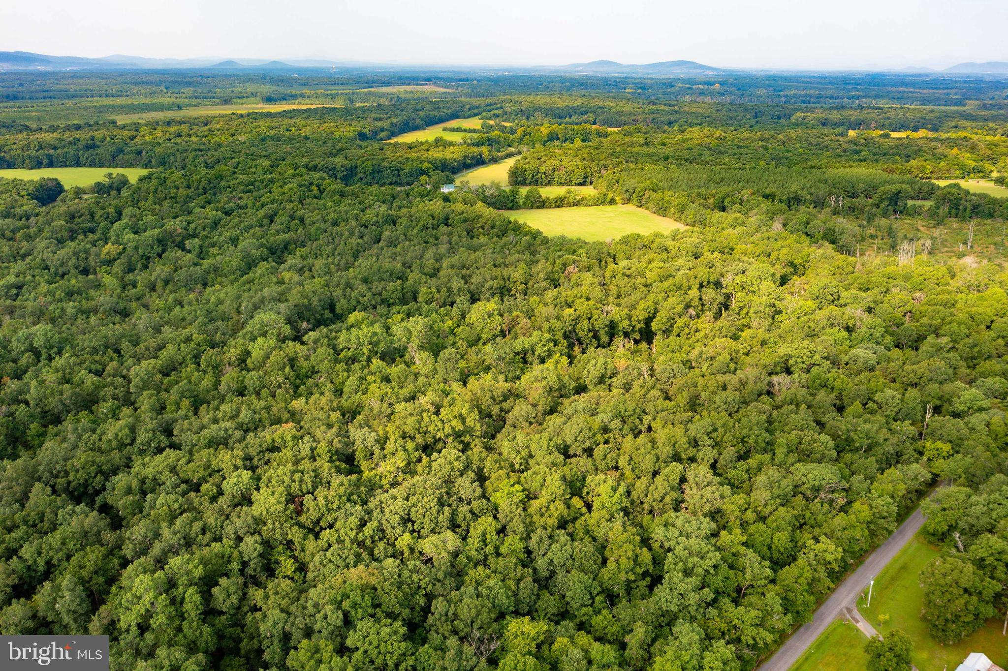 20625 Mt Pony Road Culpeper, VA 22701 - Photo 7 of 37