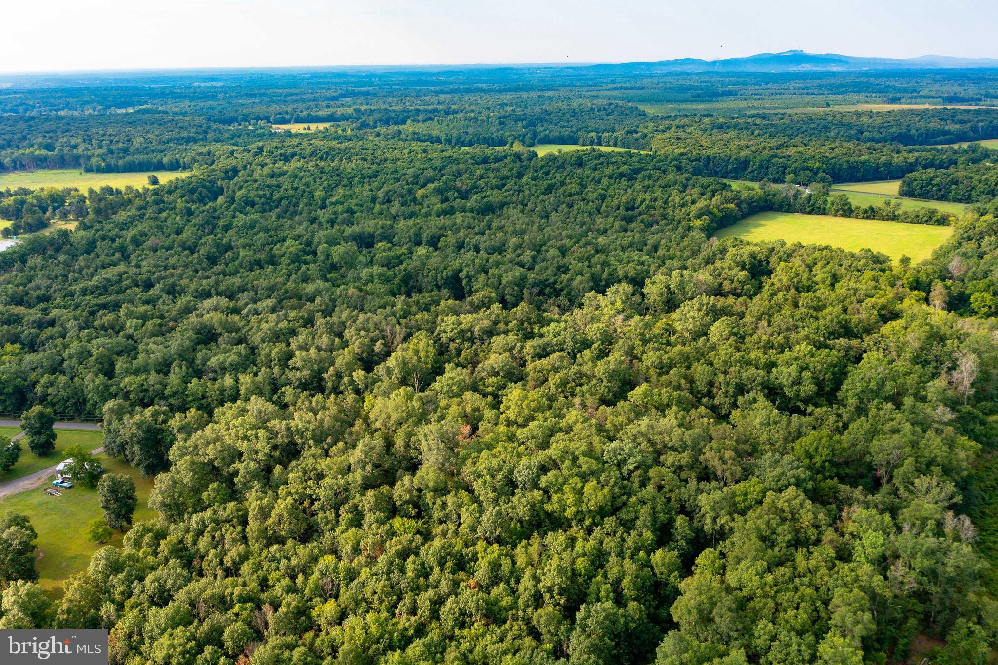 20625 Mt Pony Road Culpeper, VA 22701 - Photo 8 of 37