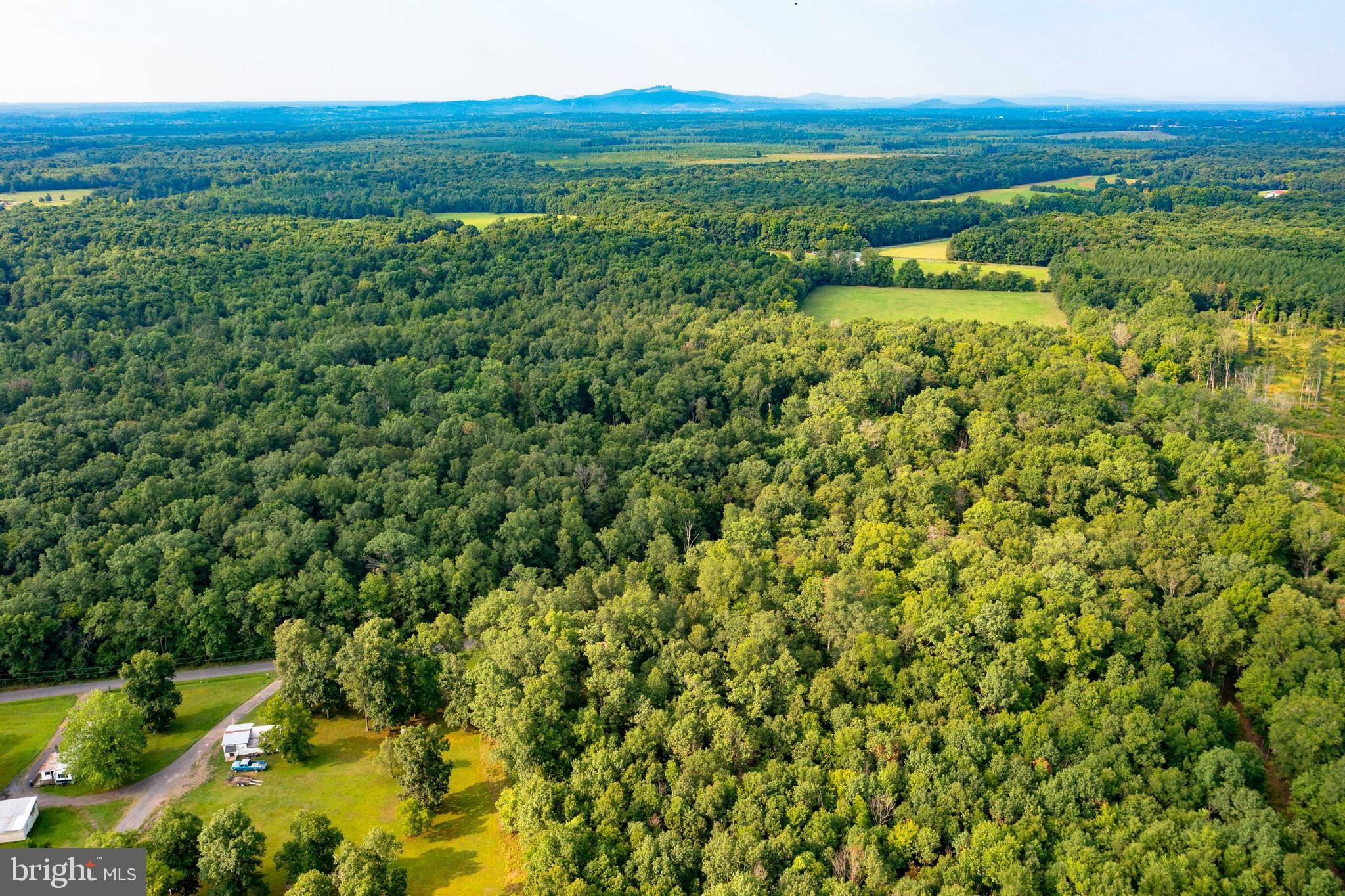 20625 Mt Pony Road Culpeper, VA 22701 - Photo 9 of 37