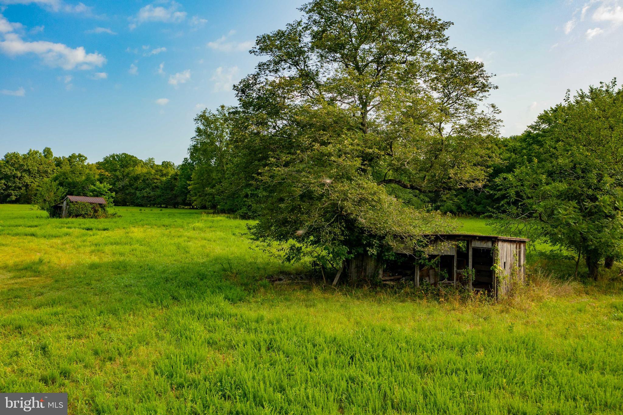 20625 Mt Pony Road Culpeper, VA 22701 - Photo 10 of 37