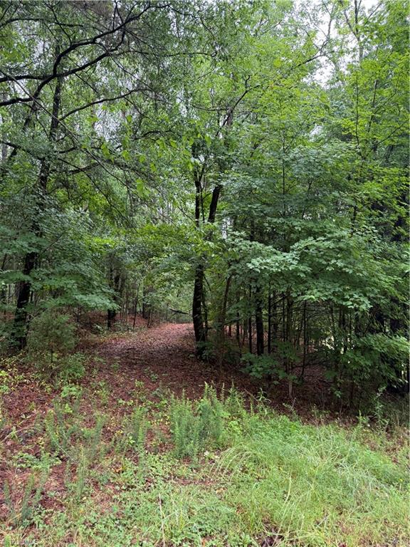 0 Pine Ridge Road China Grove, NC 28023 - Photo 3 of 4