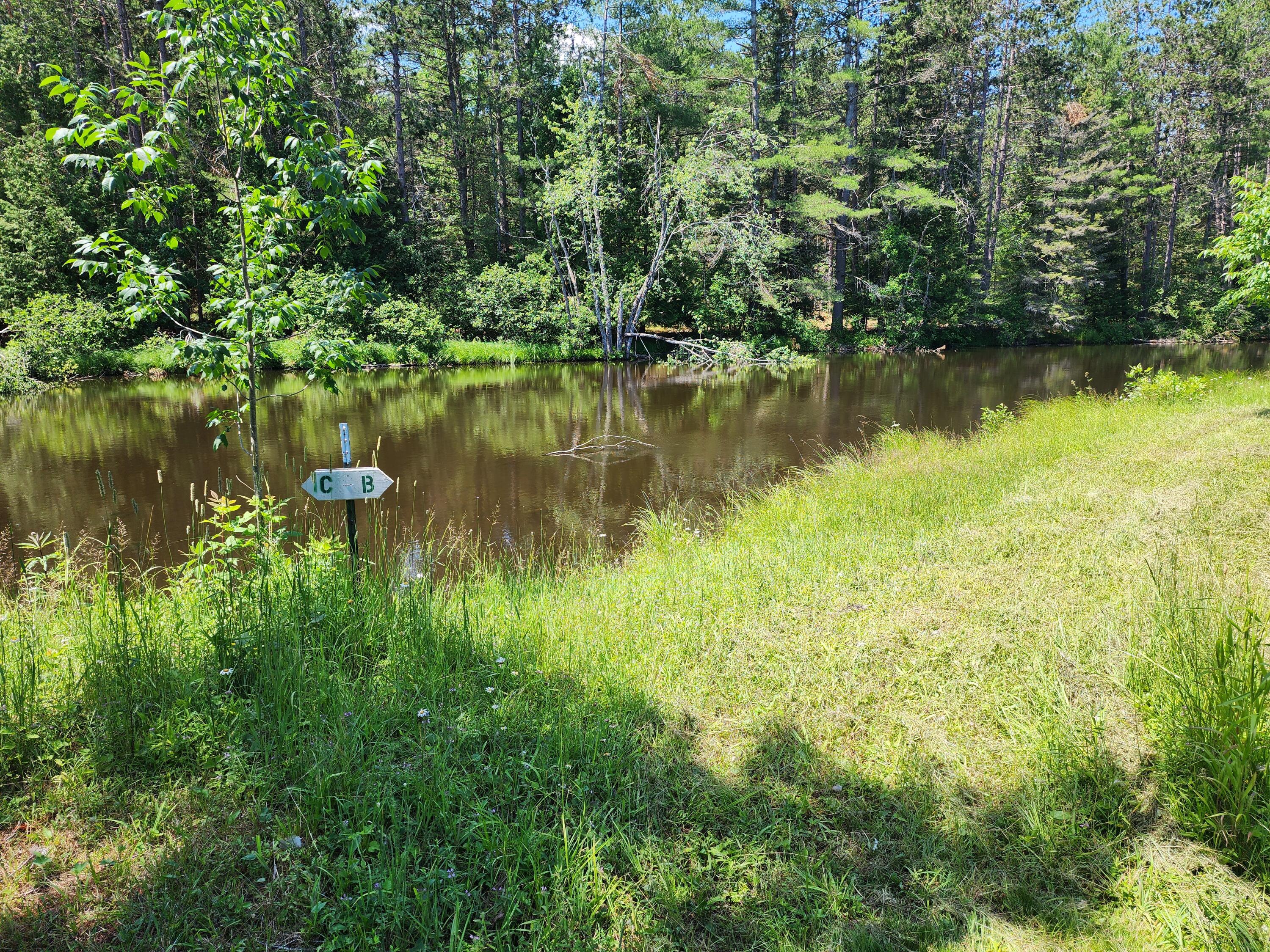10465 Mason Road Onaway, MI 49765 - Photo 5 of 16 20250708_130950