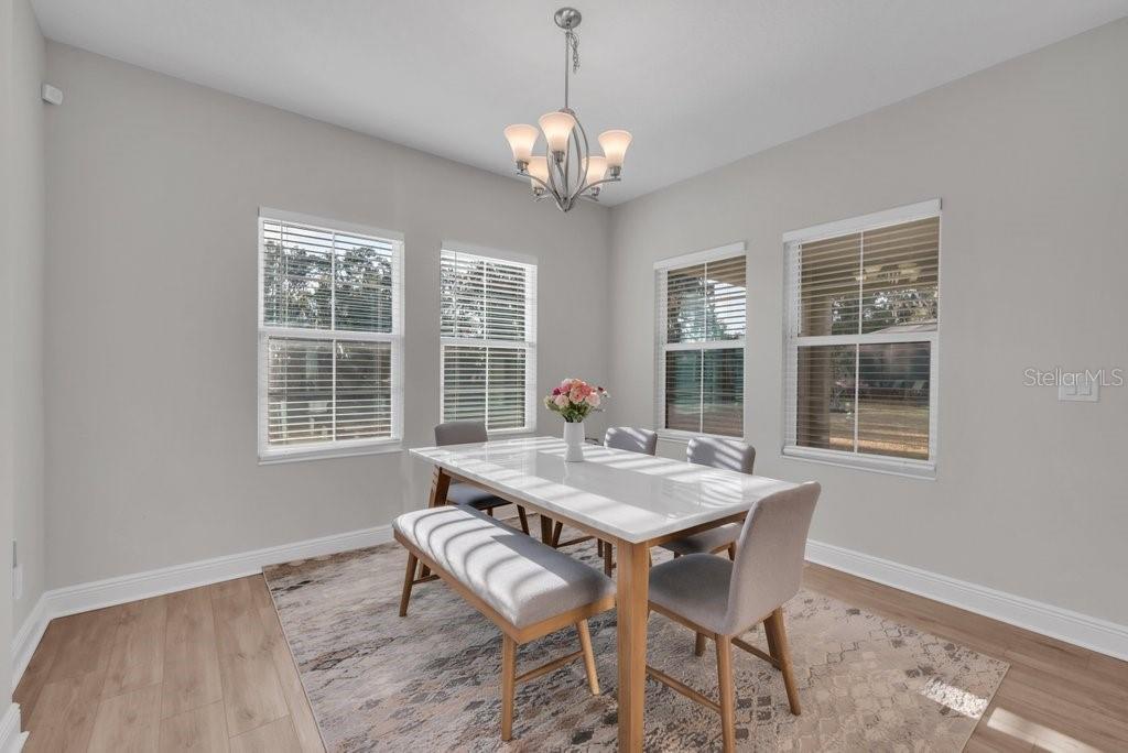 14604 Horse Trot Road Lithia, FL 33547 - Photo 18 of 62 a dining room with wooden floor a chandelier a wooden table and chairs