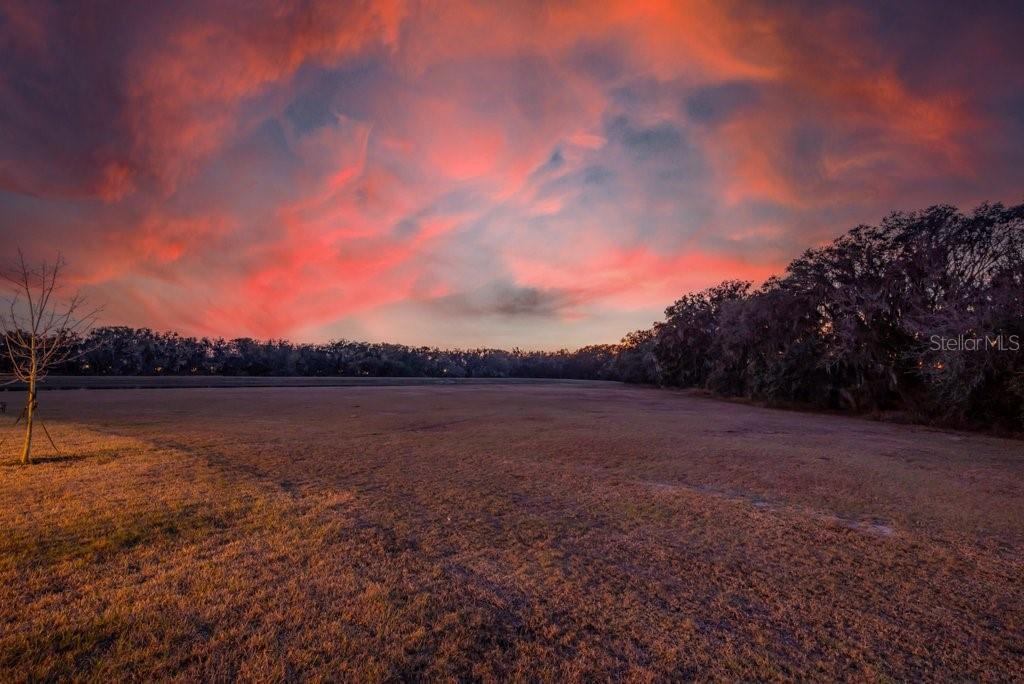 14604 Horse Trot Road Lithia, FL 33547 - Photo 3 of 62 a view of lake with mountain in back