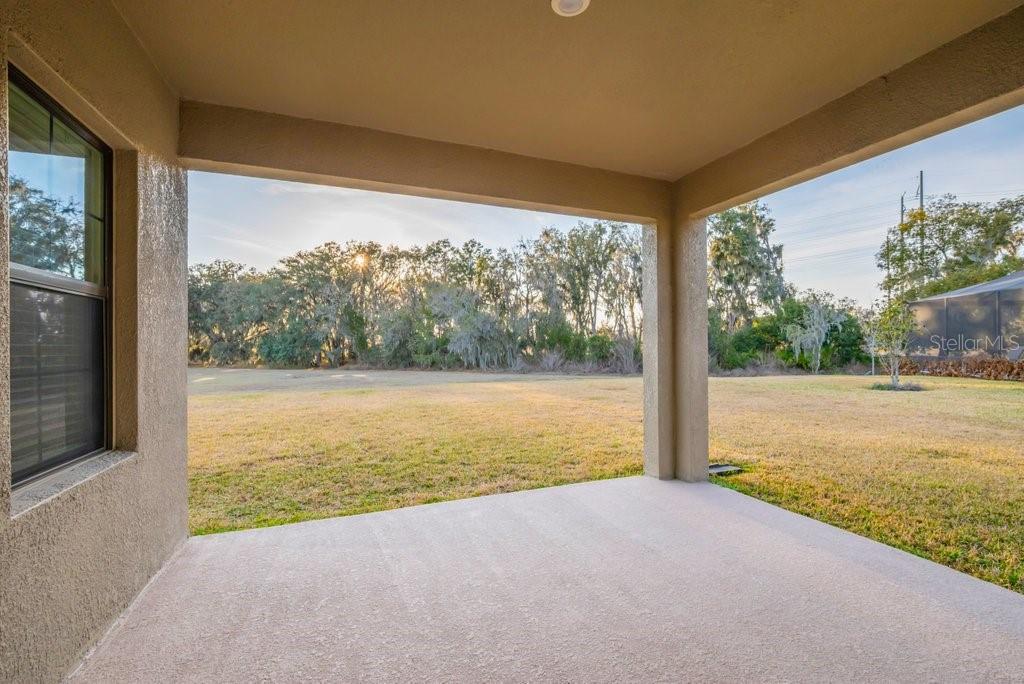 14604 Horse Trot Road Lithia, FL 33547 - Photo 35 of 62