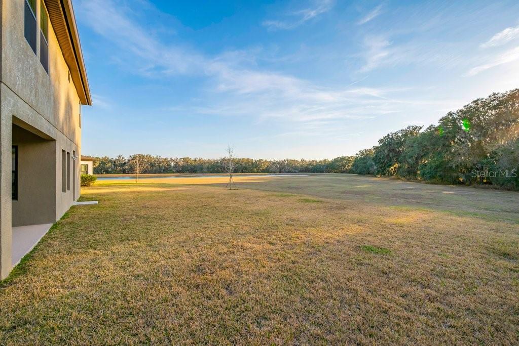 14604 Horse Trot Road Lithia, FL 33547 - Photo 36 of 62