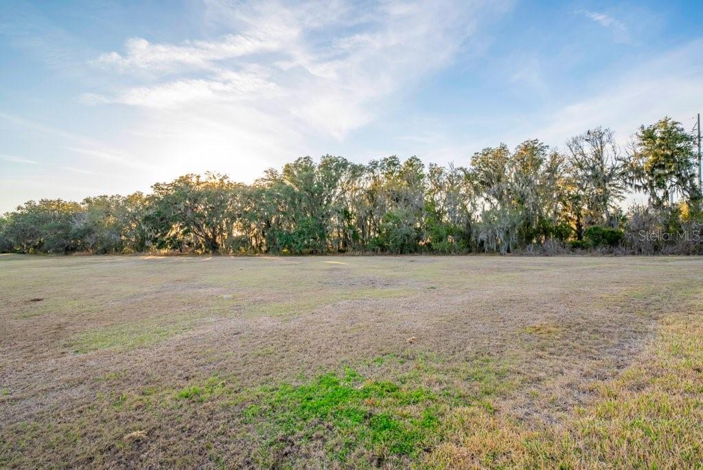 14604 Horse Trot Road Lithia, FL 33547 - Photo 40 of 62 a view of an outdoor space and a yard