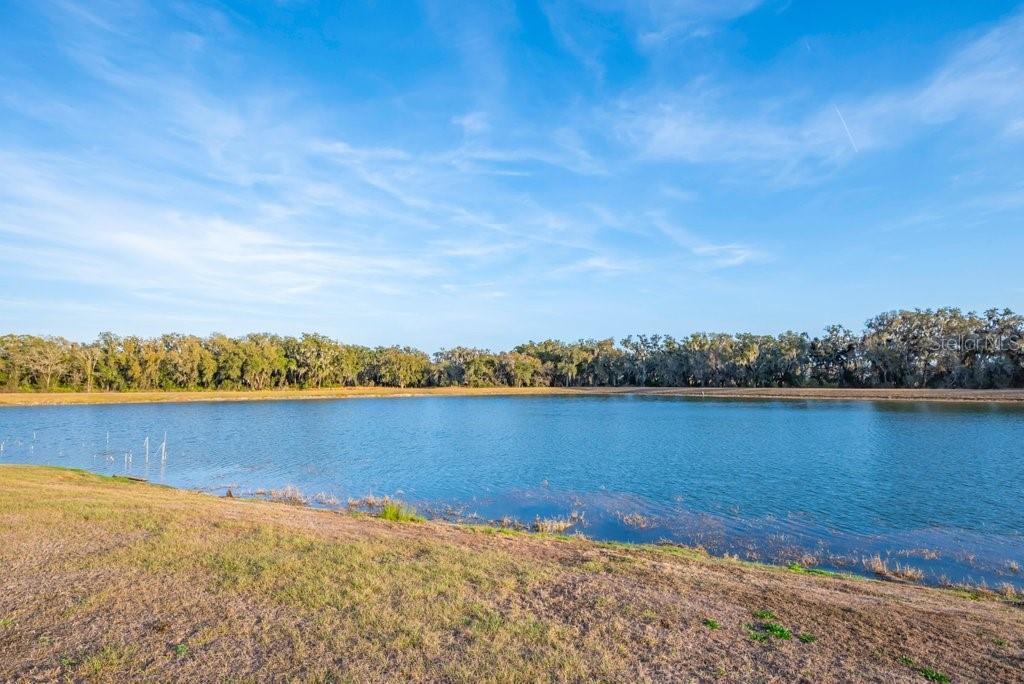 14604 Horse Trot Road Lithia, FL 33547 - Photo 41 of 62 a view of an ocean from a city