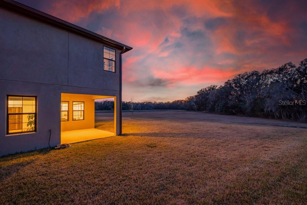 14604 Horse Trot Road Lithia, FL 33547 - Photo 45 of 62 a view of an empty room with a yard
