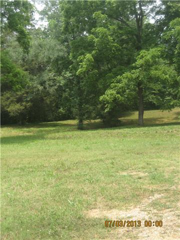 4716 Bull Run Road Ashland City, TN 37015 - Photo 8 of 10 View of back yard