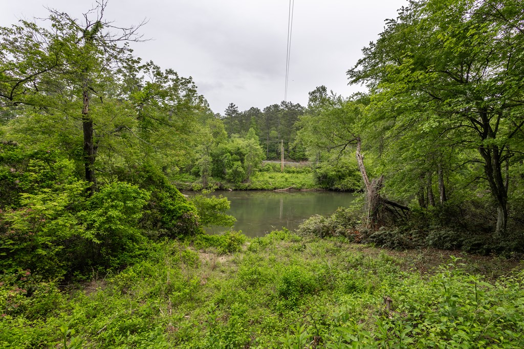 Lot 38 Harris Ridge Road Murphy, NC 28906 - Photo 4 of 11 a view of lake with green space