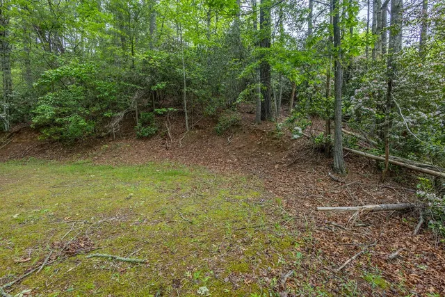 a view of a field with trees in the background