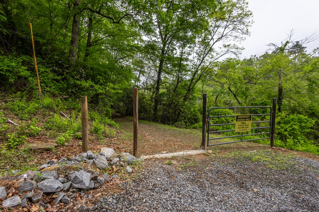 Lot 38 Harris Ridge Road Murphy, NC 28906 - Photo 9 of 11 a view of a backyard