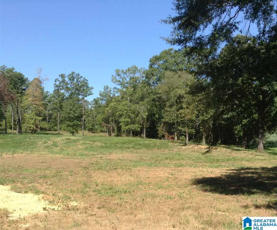19 Highway Montevallo Al Montevallo, AL 35115 - Photo 3 of 9