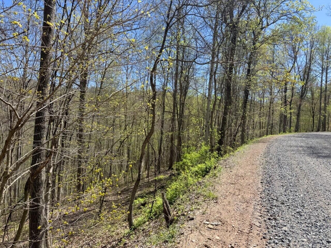 0 Maple Meadows Layland, WV 25864 - Photo 3 of 3 Tract 2