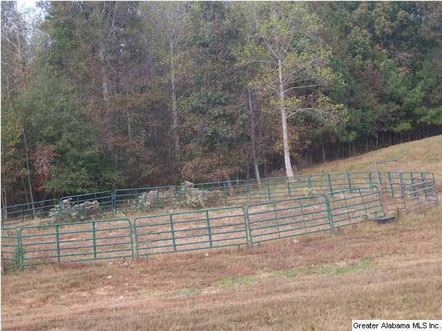 1776 County Road 96 Heflin, AL 36264 - Photo 26 of 31