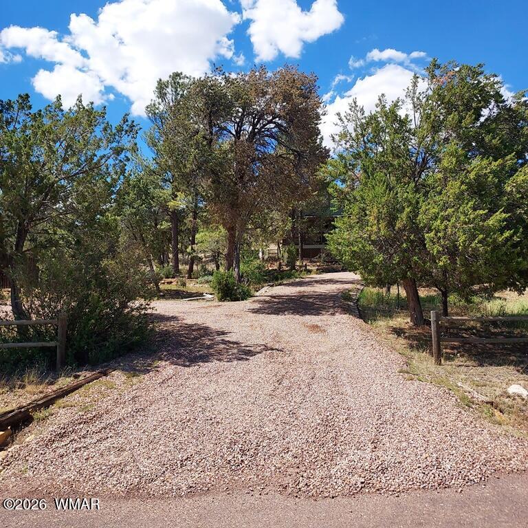 1920 Aspen Lane Overgaard, AZ 85933 - Photo 21 of 27
