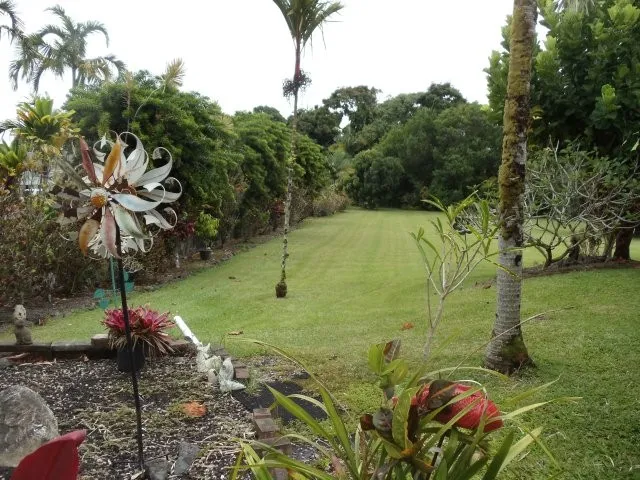a view of an outdoor space