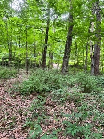 3 Wilbraham Road Monson, MA 01057 - Photo 3 of 7 a big yard with lots of green space and house in the back