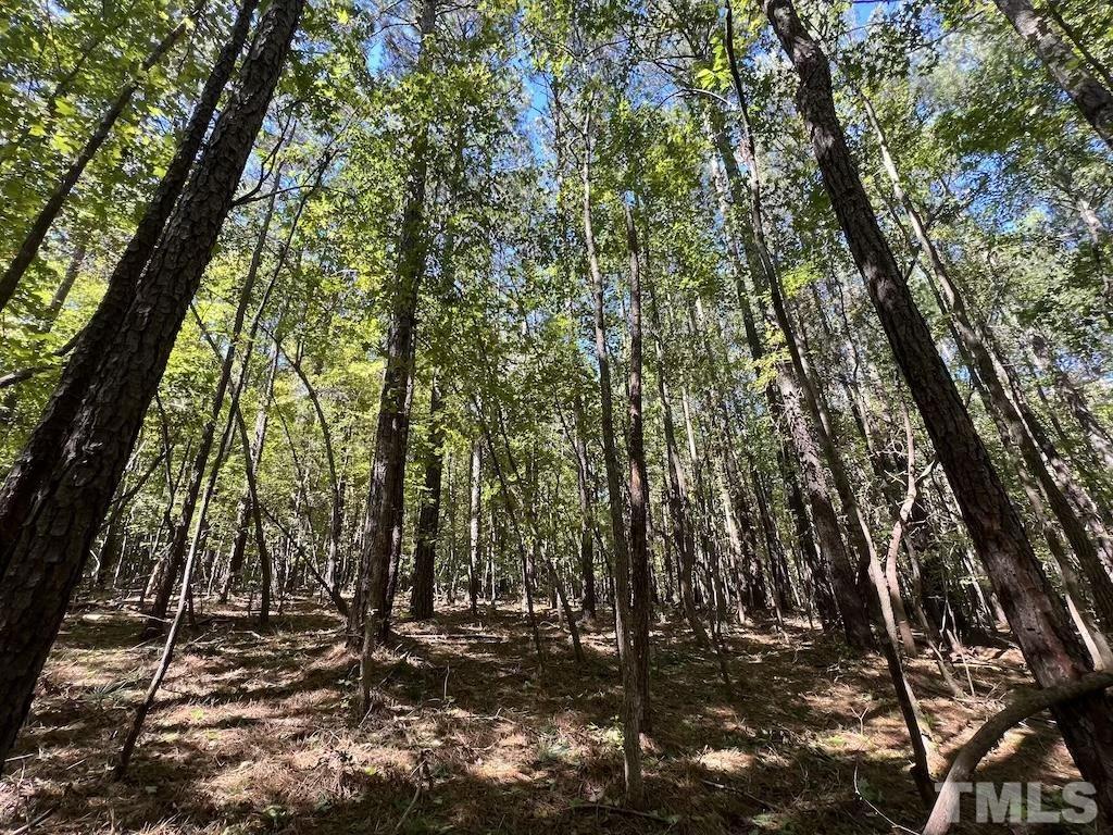 0 Sims Bridge Road Kittrell, NC 27544 - Photo 11 of 21 a view of a tree