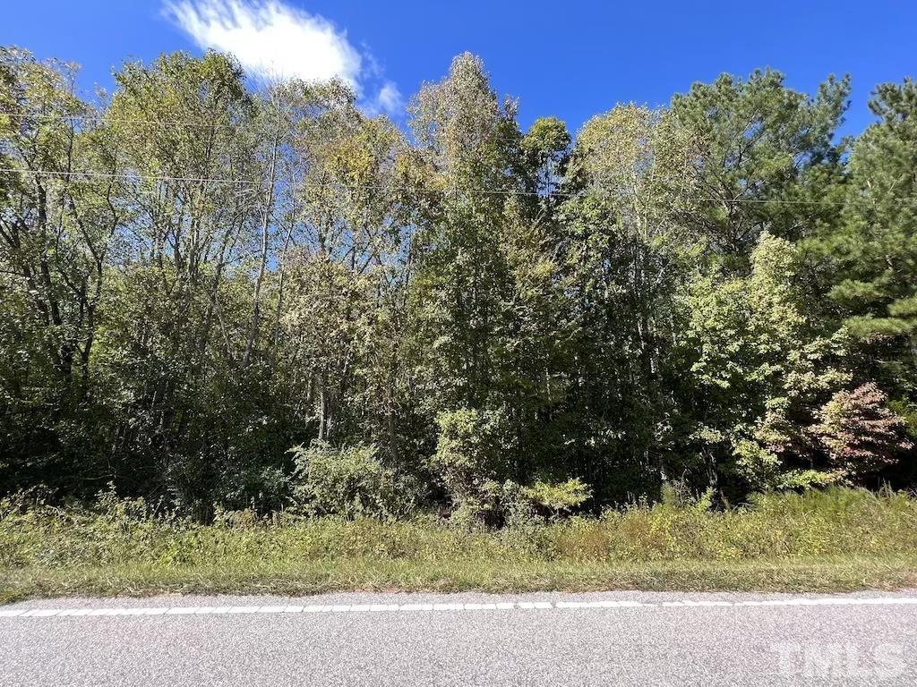 0 Sims Bridge Road Kittrell, NC 27544 - Photo 15 of 21 a view of a yard