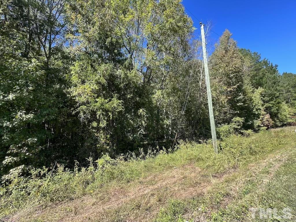 0 Sims Bridge Road Kittrell, NC 27544 - Photo 16 of 21 a view of a yard with plants and large trees