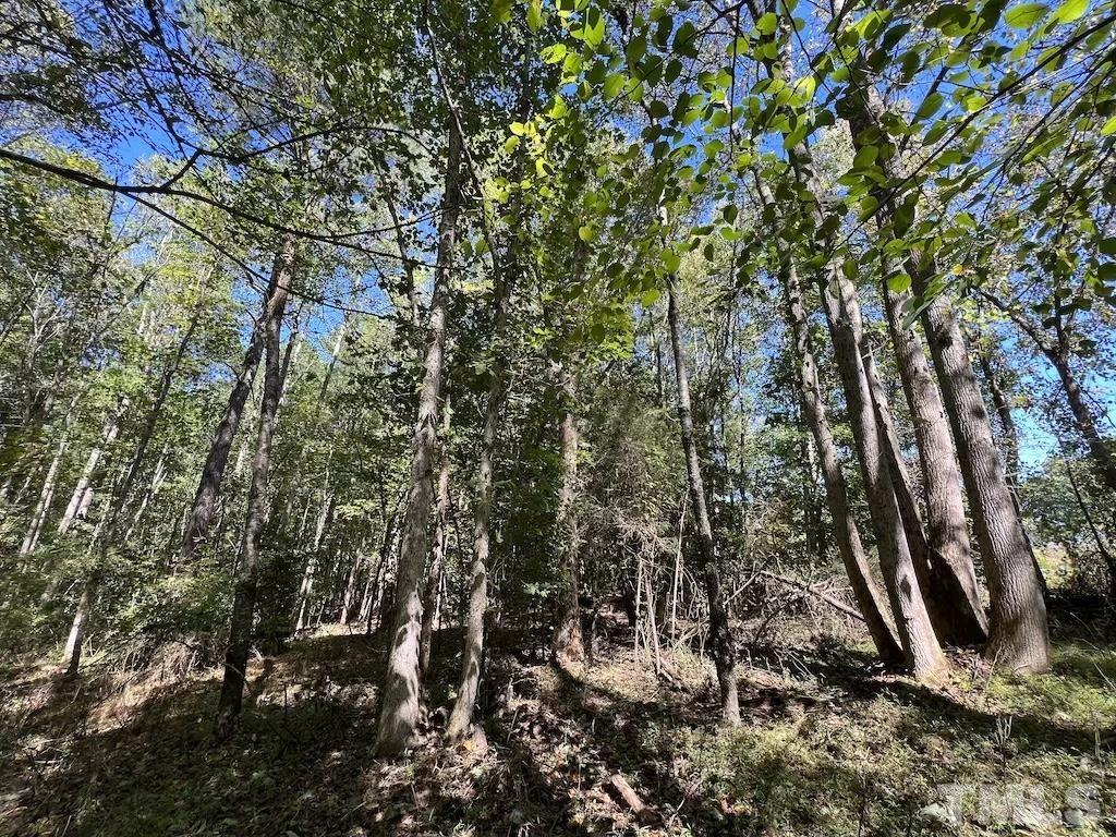 0 Sims Bridge Road Kittrell, NC 27544 - Photo 17 of 21 a view of a forest