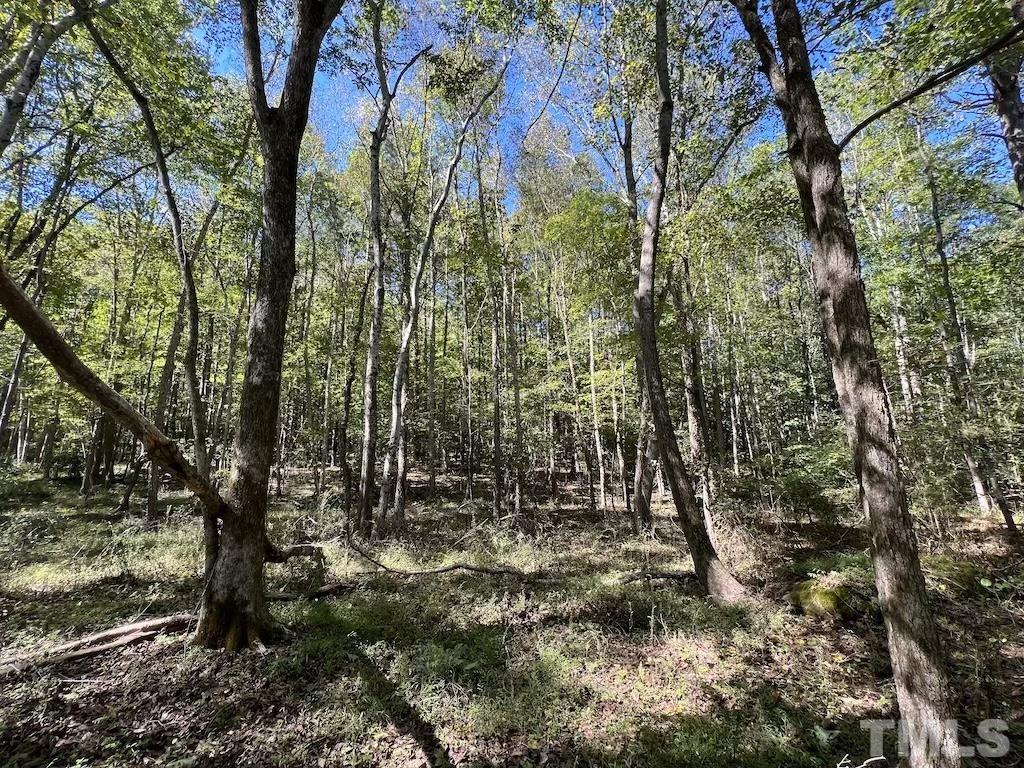 0 Sims Bridge Road Kittrell, NC 27544 - Photo 18 of 21 a view of forest
