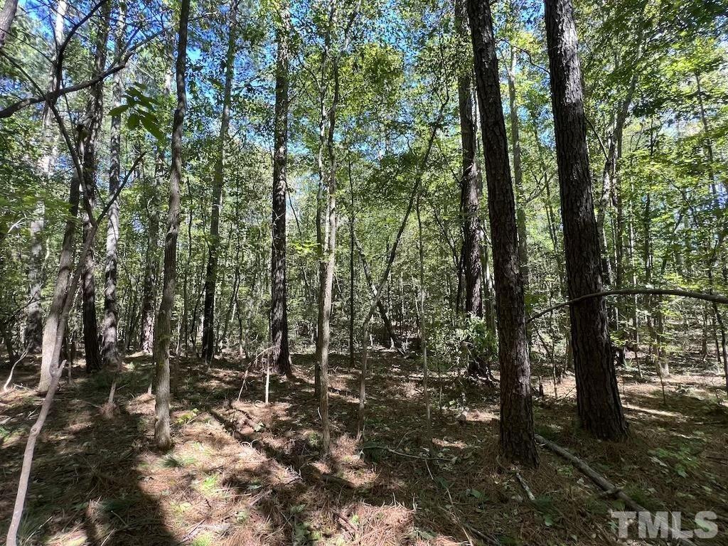 0 Sims Bridge Road Kittrell, NC 27544 - Photo 19 of 21 a view of outdoor space and garden