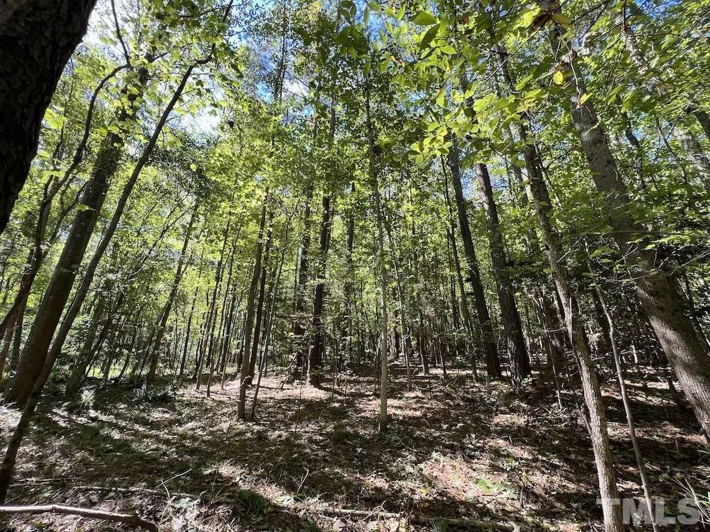 0 Sims Bridge Road Kittrell, NC 27544 - Photo 20 of 21 a view of forest