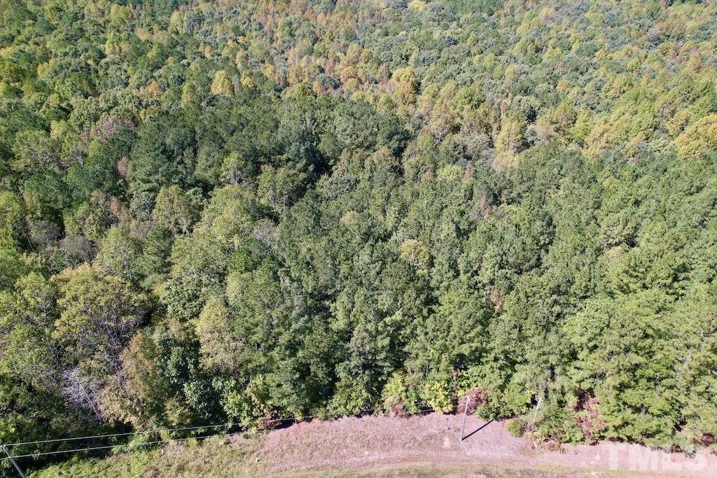 0 Sims Bridge Road Kittrell, NC 27544 - Photo 4 of 21 a view of a large yard with a tree