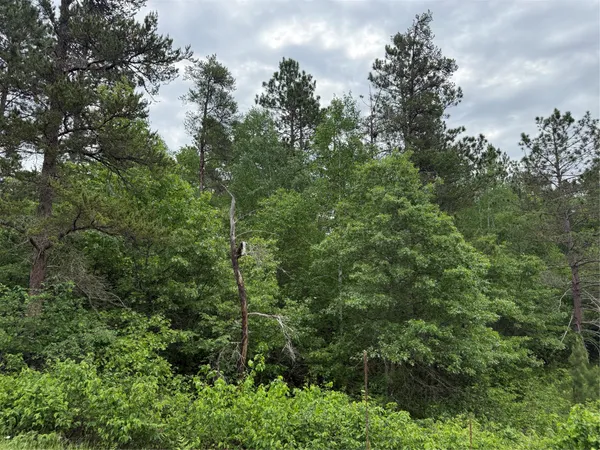 $17,900 | Lot 51 Aspen Lane, Superior, WI 54880