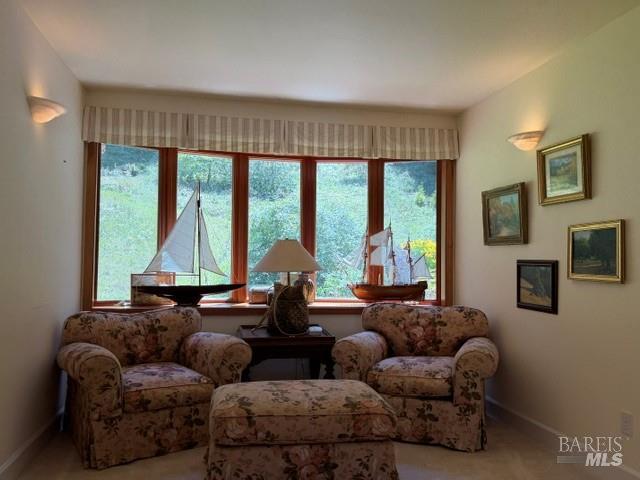 16875 Coleman Valley Road Occidental, CA 95465 - Photo 41 of 78