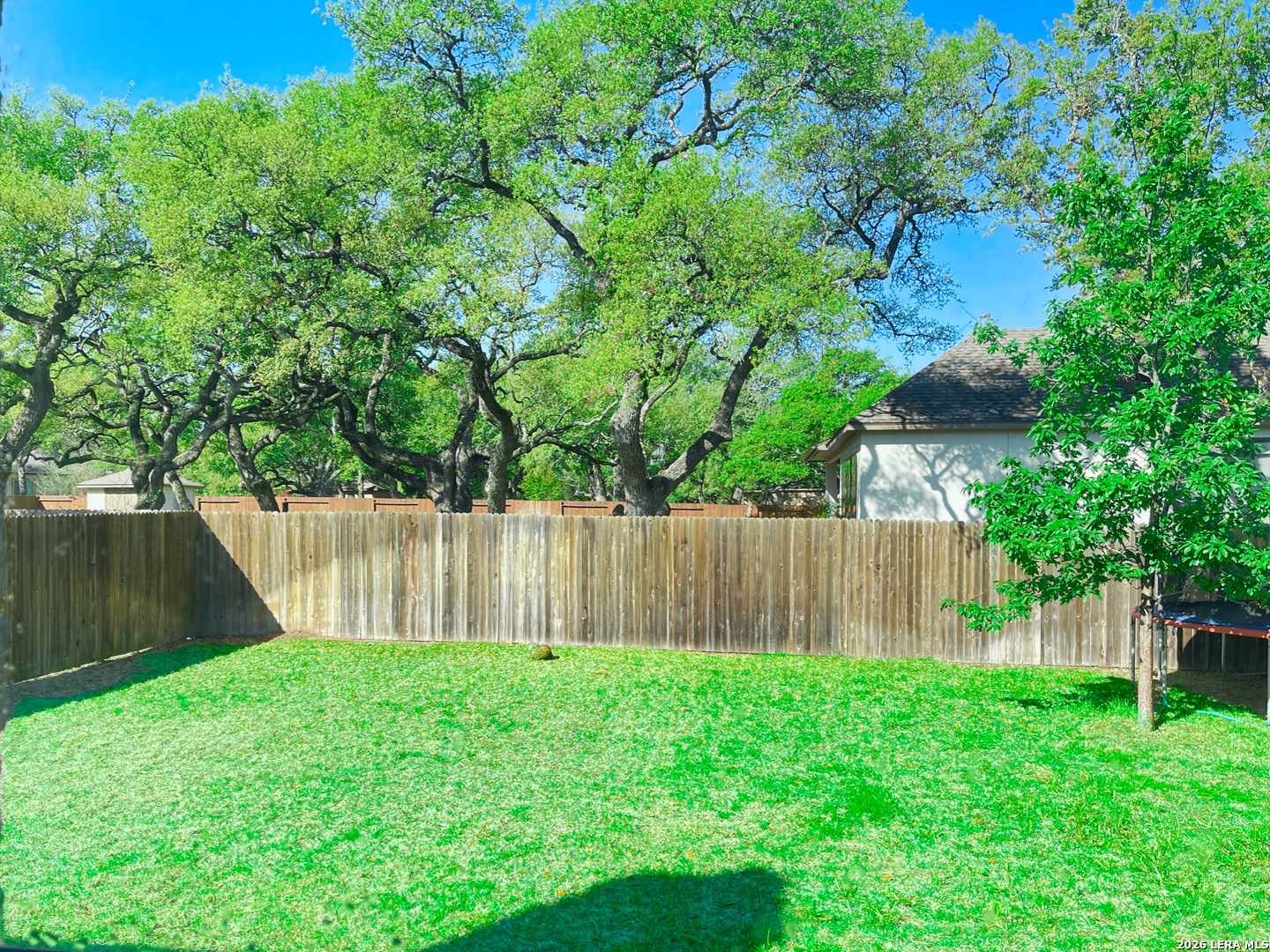 28839 Porch Swing Boerne, TX 78006 - Photo 45 of 50