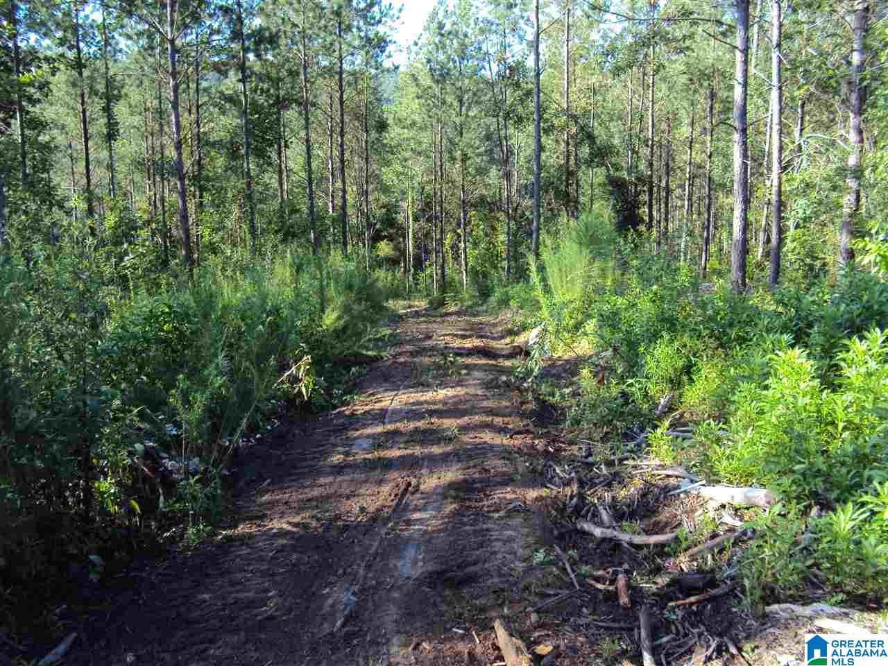 12 County Road Odenville, AL 35120 - Photo 2 of 2