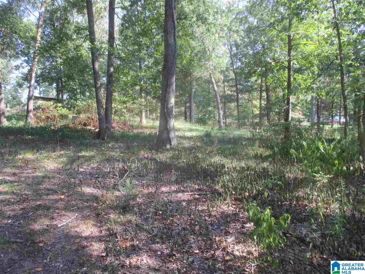 1561 Rainbow Lane Warrior, AL 35180 - Photo 31 of 34